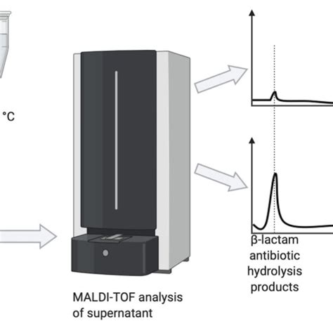 Pdf Detection Of Antibiotic Resistance By Maldi Tof Mass Spectrometry