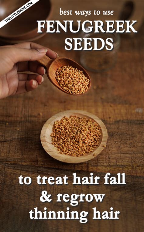 How to use fenugreek to regrow thinning hair - The Little Shine