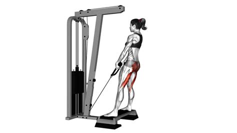 Cable Stiff Leg Deadlift Stepbox Variation Female Video Guide And Tips