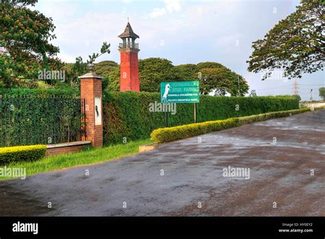 Poonawalla stud farm, pune, maharashtra, india, asia Stock Photo - Alamy