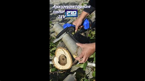 Цепная аккумуляторная 21V пила Prostormer 6" из Китая, подрезка ...