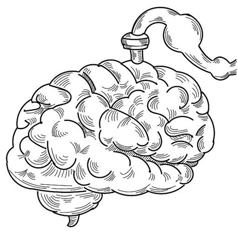 Royalty Free Physiology Clip Art, Vector Images & Illustrations - iStock 