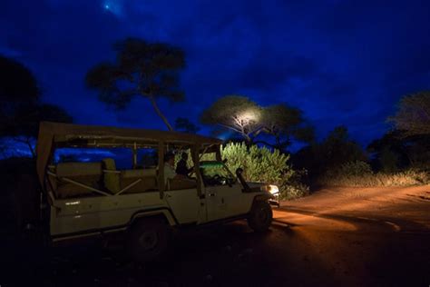 Night Game Drive In Serengeti National Park Serengeti Safaris