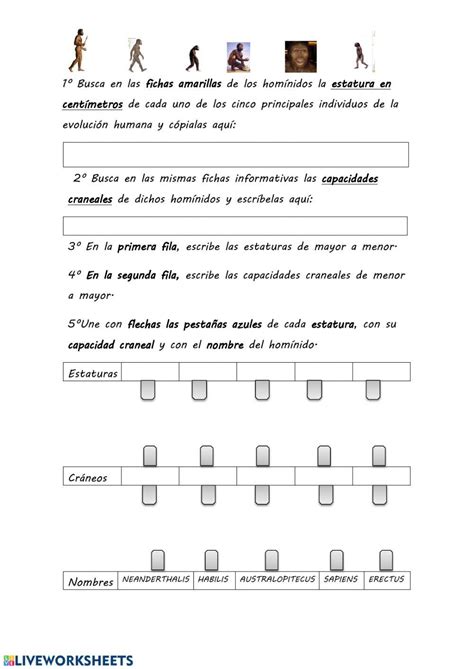 Recogida De Datos Sobre Homínidos Worksheet Live Worksheets