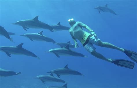 Mazatlan - Sea Safari & Snorkeling - Fun Vacation