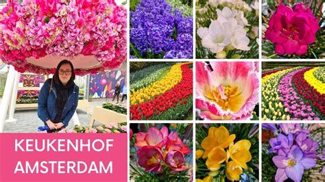 H W Holandii Ogr D Keukenhof I Amsterdam Youtube