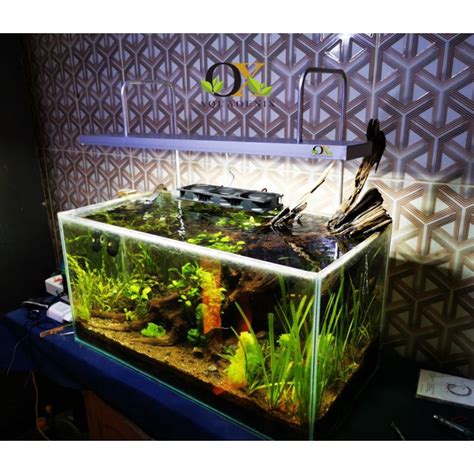 Jual Stand Tiang Dan Lampu Led Aquarium Aquascape Minimalis Lampu Hood