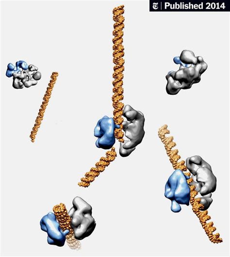 4 Surprising Facts About Epigenetics And How To Rewrite Your Genetic Code