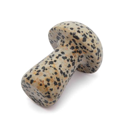 Herbar Gua-Shroom Gua Sha Dalmatian | END. (SE)