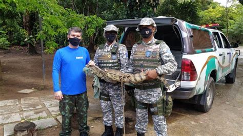 Conhe A As Atribui Es Do Grupo Especial De Prote O Ambiental Da