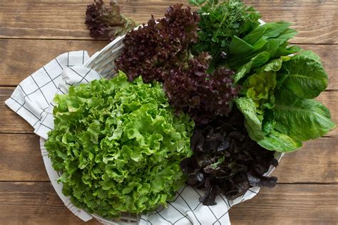 Зелени салати - видове, избор, съхранение и рецепти - Know How To Cook