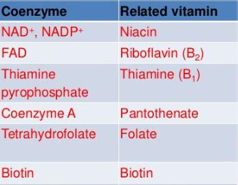 The Essential Chemical Components Of Many Coenzymes Are