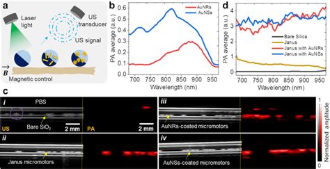 Nanomaterial Decorated Micromotors For Enhanced Photoacoustic Imaging