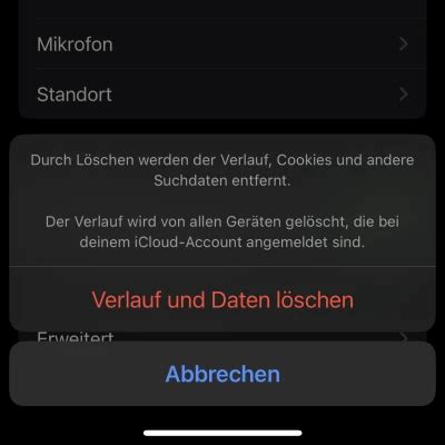 Verlauf löschen am Handy So funktionierts Blau