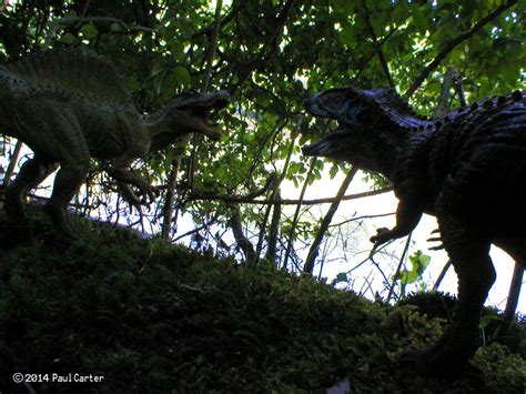 Carcharodontosaurus VS Spinosaurus. by Carnosaur on DeviantArt