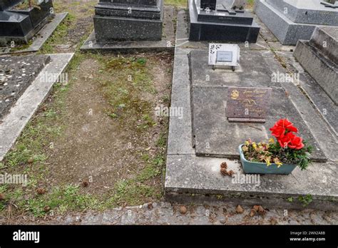 MONTPARNASSE CEMETERY FAMOUS GRAVES PARIS Stock Photo - Alamy