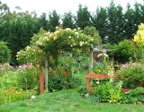 19 Best Pergola Plants Climbing Plants For Pergolas And Arbors