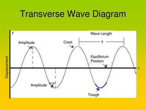 Transverse Wave Diagram Labeled