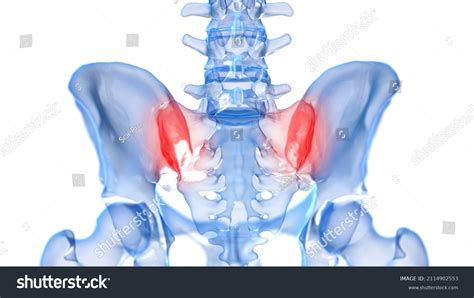 3d Rendered Illustration Painful Sacroiliac Joint Stock Illustration