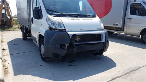 Un Urs A Fost Lovit Mortal De O Camionet Pe Autostrada Sibiu Or Tie