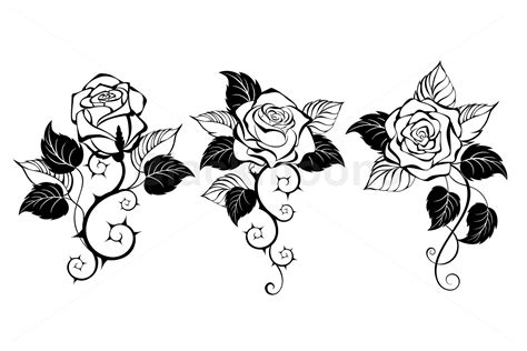 Three Outline Roses By blackmoon9 | TheHungryJPEG