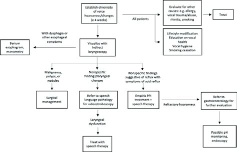 Suggested Referral Diagnosis And Treatment Algorithm For Patients