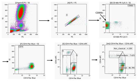 Gating Strategy For The Isolation Of B B Cells A Flow Cytometry