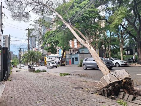 Chuva Causa Queda De árvores Falta De Luz E Alagamentos Em Sp Metrópoles