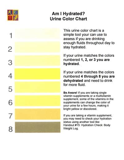 Urine Color Chart: Free Download