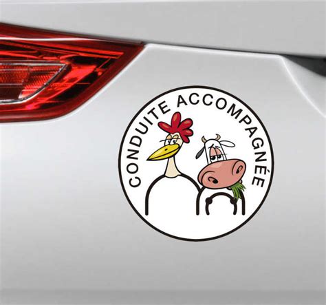 Sticker Voiture Conduite Accompagn E Dr Le Tenstickers