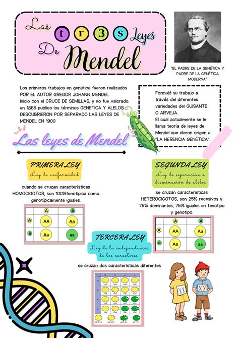 Las Leyes De Mendel Las Leyes De Mendellas Leyes De Mendellas Leyes