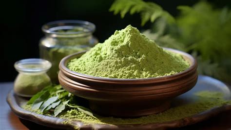 Top 10 Moringa Powders In India To Boost Your Health In 2024