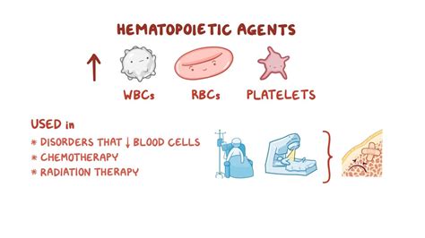 Hematopoietic growth factors: Nursing pharmacology - Osmosis Video Library