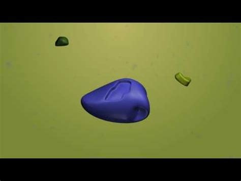 Biology Animations: Enzyme Inhibition Animation