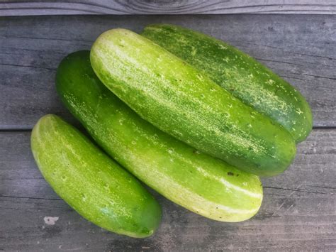 Our Melon and Squash Garden | The Harvest - Fresh Eggs Daily® with Lisa Steele