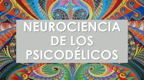 Neurociencia De Los Psicod Licos Youtube