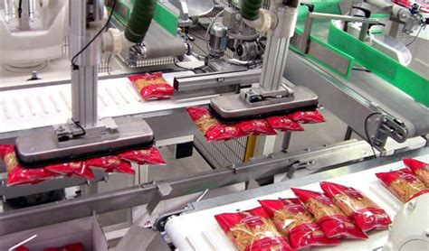 Vertical Case Packer Automatic Adhesive Tape Hot Melt Glue RITM Industry