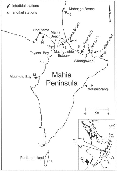 Map of Mahia Peninsula showing intertidal and snorkel locations ...