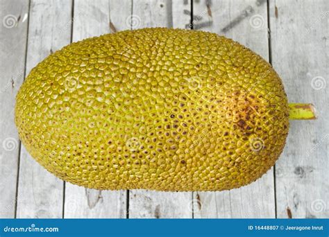 Giant Jackfruit Royalty Free Stock Photography - Image: 16448807