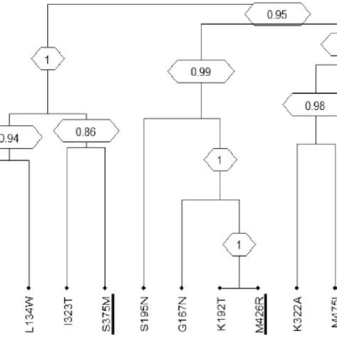 Dendrogram Obtained From Average Linkage Hierarchical Agglomerative