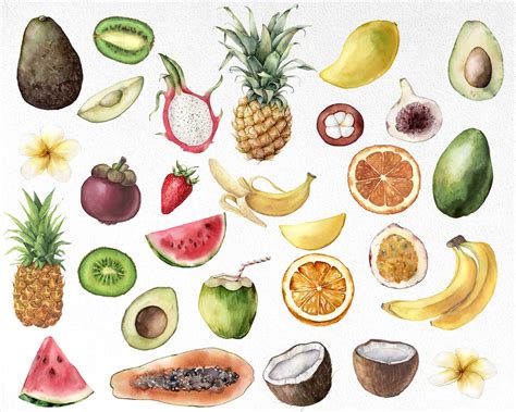 Watercolor Tropical Fruit Clipart Fruits Clipart Exotic Etsy