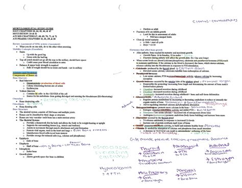 Medsurg Msk Musculoskeletal Study Guide Nur Studocu