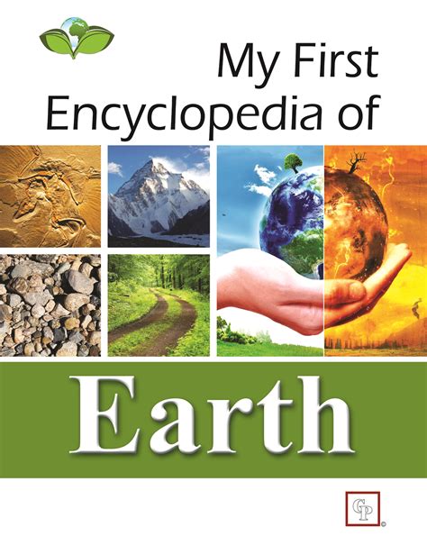 My First Encyclopedia Of The Rainforest A Great B 8