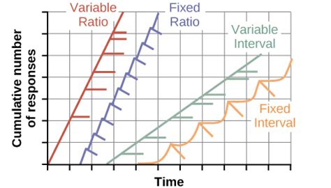 Identify The Four Schedules Of Reinforcement