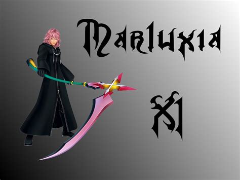 Organization XIII: Marluxia by Cyruny on DeviantArt