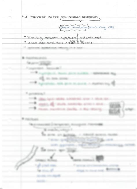 SOLUTION: Structure of the cell surface membrane a level biology - Studypool