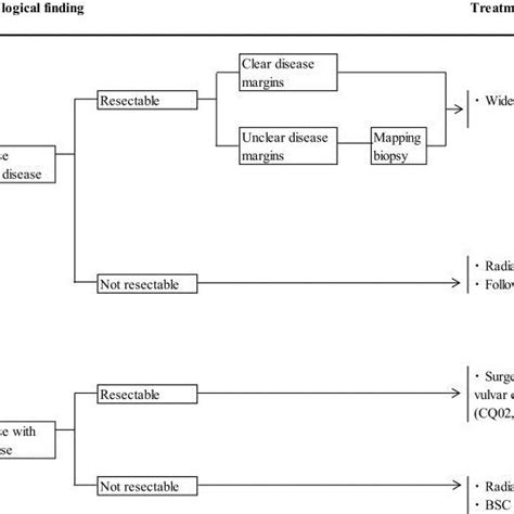 Management The Paget S Disease Of The Vulva Download Scientific Diagram