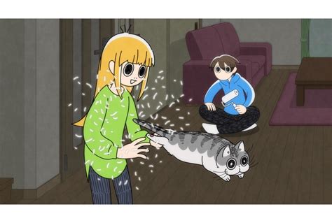 配信アニメ『夜は猫といっしょ』第29夜（第29話）「おでかけする妹とネコ」先行カット到着！ アニメイトタイムズ