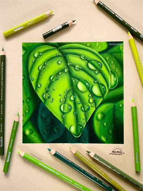 Realistic Leaf Drawing | Leaf drawing, Colored pencil artwork ideas ...