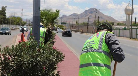 Dan Mantenimiento A Camellones De La Juan Pablo Y Pacheco